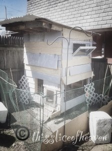 home sweet home for our ladies